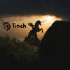 1inch DEX Aggregator Review